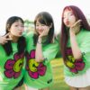Petals - Lime